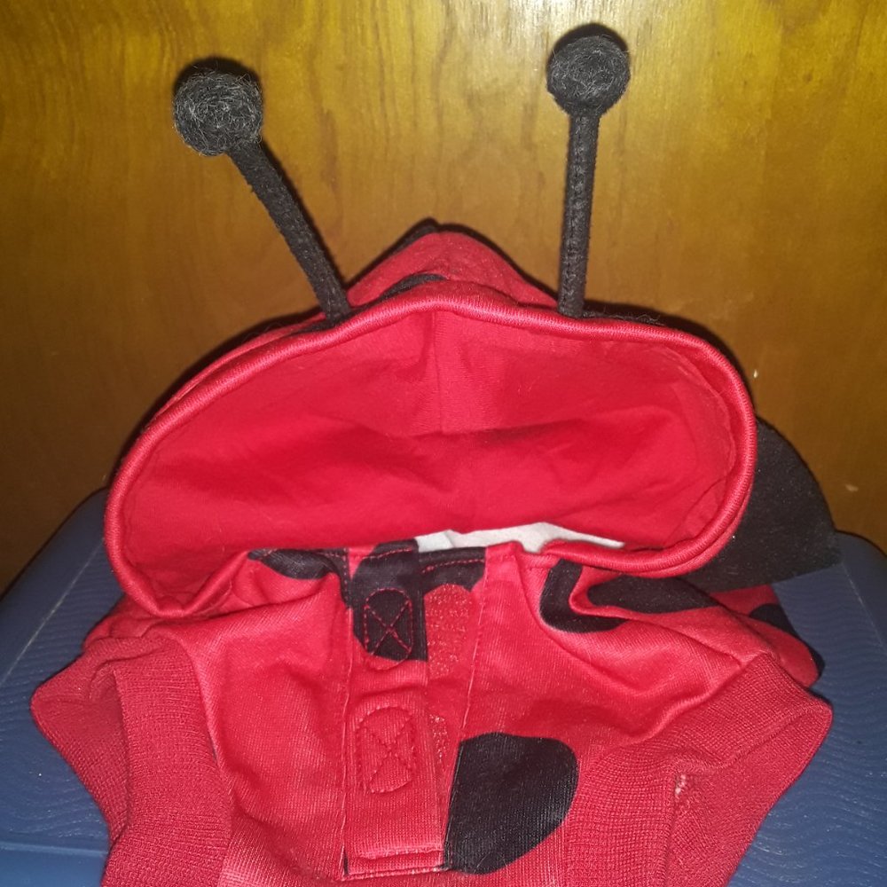 Ladybug Costume For Dogs - Picture 3 of 3